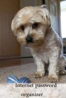 internet password organizer: password book, password log book and internet password organizer, alphabetical password book, Logbook To Protect ... password book small 6” x 9”- A5-15,24x22,86cm 1672046998 Book Cover