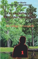 Les enquêtes de Philippe Montebello: Un village si tranquille 2956242806 Book Cover