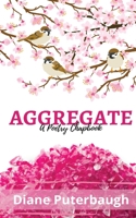 Aggregrate 1736407929 Book Cover