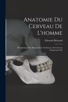 Anatomie Du Cerveau de l'Homme: Morphologie Des H�misph�res C�r�braux, Ou Cerveau Proprement Dit 1017384754 Book Cover