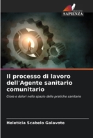 Il processo di lavoro dell'Agente sanitario comunitario (Italian Edition) 6208031524 Book Cover