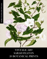 Vintage Art: Sarah Featon 20 Botanical Prints 1006597271 Book Cover