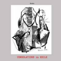 Consolations 1304537560 Book Cover
