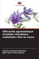 Efficacité agronomique d'isolats rhizobiens nodulants chez la vesce (French Edition) 6207168550 Book Cover