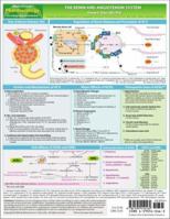 MemoCharts Pharmacology: The renin and angiotensin system (Review chart) 1595410163 Book Cover