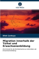 Migration innerhalb der Türkei und Erwachsenenbildung 6203491713 Book Cover