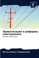 Приватизация и реформа электросвязи: Пример из Индонезии 6203250902 Book Cover