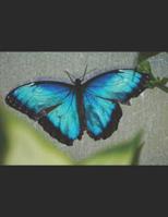 Butterfly Diary 1079378073 Book Cover