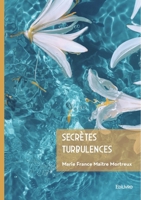 Secrètes Turbulences (French Edition) 2414809418 Book Cover