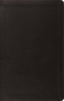 ESV Value Thinline Bible (Trutone, English Saddle) B0DWND4RLR Book Cover