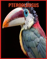 Pteroglossus: Recueil pour Enfants de Belles Images & d'Informations Int�ressantes Concernant les Pteroglossus B08WJPMZBG Book Cover