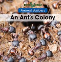 An Ant's Colony 1502620774 Book Cover