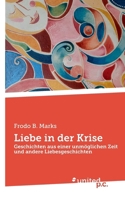Liebe in der Krise: Geschichten aus einer unmöglichen Zeit und andere Liebesgeschichten (German Edition) 3710311888 Book Cover