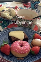 Le labyrinthe (French Edition) 2414447354 Book Cover
