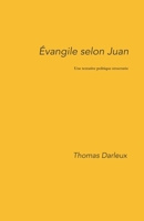Évangile selon Juan: Une tentative structurée face à l’impuissance politique (French Edition) B0GR9FG2FS Book Cover