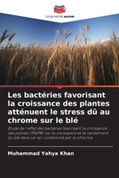 Les bactéries favorisant la croissance des plantes atténuent le stress dû au chrome sur le blé (French Edition) 6208126088 Book Cover