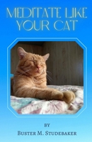 Meditate Like Your Cat: A simple guide to entering a blissful state of consciousness B0BSWY5X8P Book Cover