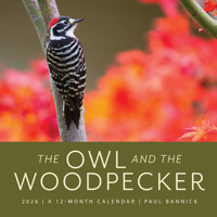 The Owl & the Woodpecker 2026: 12-Month Wall Calendar 168051833X Book Cover