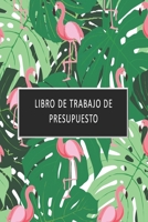 Libro de trabajo de presupuesto: Planificador de presupuesto mensual y semanal Rastreador de gastos Organizador de facturas Cuaderno diario ideal para regalar (Spanish Edition) 1700507109 Book Cover