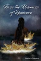 From the Reservoir of Resilience 1790554128 Book Cover