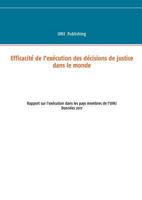 Efficacité de l'exécution des décisions de justice dans le monde: Rapport sur l'exécution dans les pays membres de l'uihj 2322086347 Book Cover