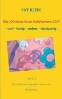 Die 100 skurrilsten Babynamen 2017 3746011272 Book Cover