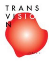 TransVision 0464514339 Book Cover