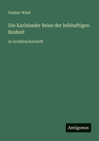 Die Karlsbader Reise der leibhaftigen Bosheit: in Gro�druckschrift 3368474383 Book Cover