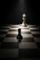 POWER WITHOUT POWER: How the Weak Win in a Rigged World B0GGBX8YDN Book Cover