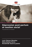 Dépression post-partum et soutien social 6207024567 Book Cover