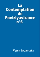 La Contemplation de Poviziyavizance n°6 (French Edition) 0244028966 Book Cover