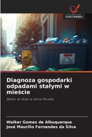 Diagnoza gospodarki odpadami stalymi w miescie (Polish Edition) 6209759688 Book Cover