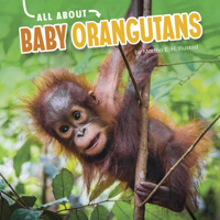 All about Baby Orangutans 1663907951 Book Cover