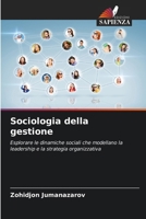 Sociologia della gestione 6207982339 Book Cover