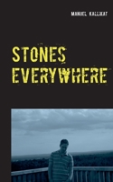 Stones everywhere 3753460869 Book Cover