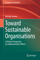 Toward Sustainable Organisations: A Holistic Perspective on Implementation Efforts 3030996751 Book Cover