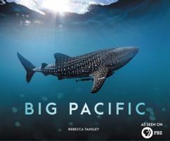 Big Pacific: Passionate, Voracious, Mysterious, Violent 0691177481 Book Cover