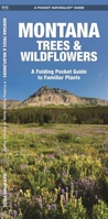Montana Trees & Wildflowers: An Introduction to Familiar Species (Pocket Naturalist - Waterford Press) 1583552936 Book Cover