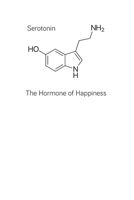 Serotonin: The Hormone of Happiness - A Discreet Notebook where Keep Track of All of Your Favorite Website, Username, Passwords, Email Addresses, ... PUCK. Alphabetical Tabs (Password & Serial) 1699945225 Book Cover