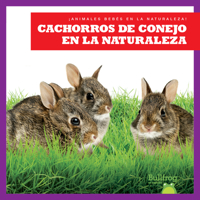 Cachorros de Conejo En La Naturaleza (Rabbit Kits in the Wild) B0BY125MPN Book Cover