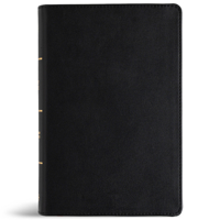 CSB Large Print Personal Size Reference Bible, Optimal Type, Digital Study Edition, Black Genuine Leather, Indexed B0FP8PR528 Book Cover