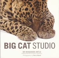 Big Cat Studio 1906672660 Book Cover