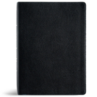 NASB Study Bible, Black Genuine Leather, Indexed B0F7DVGT4D Book Cover