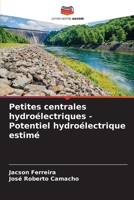 Petites centrales hydroélectriques - Potentiel hydroélectrique estimé (French Edition) 6200749272 Book Cover
