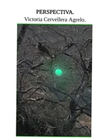 Perspectiva. (Spanish Edition) B0D6DGVT6H Book Cover