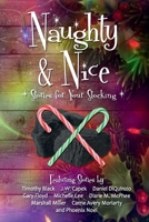 Naughty and Nice: Stories for Your Stocking 1590928121 Book Cover