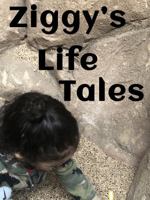 Ziggy's Life Tales 0999810251 Book Cover