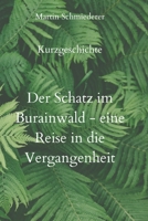 Der Schatz im Burainwald - eine Reise in die Vergangenheit B093WJ17MX Book Cover