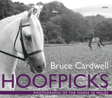Hoofpicks: Photographs of the Horse in Wales 1854114980 Book Cover