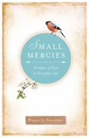 Small Mercies: Glimpses of God in Everyday Life 0829436952 Book Cover